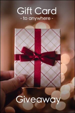 Gift card in a person's hand. Gift card is wrapped in wrapping paper with a red ribbon bow.